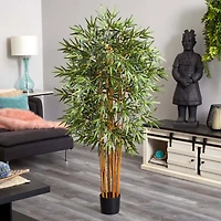 5ft. Potted Curved Bamboo Tree