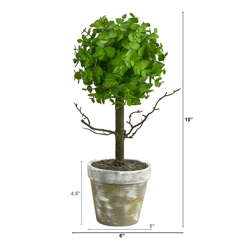 15" Potted Eucalyptus Topiary Tree