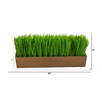 5" Grass Plant in Decorative Planter
