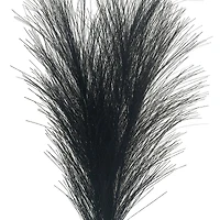 13.5" Pampas Grass Pick by Ashland