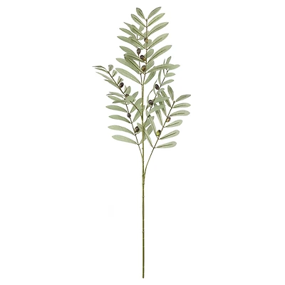 36" Olive Berry Branch by Ashland®