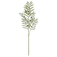 36" Olive Berry Branch by Ashland®