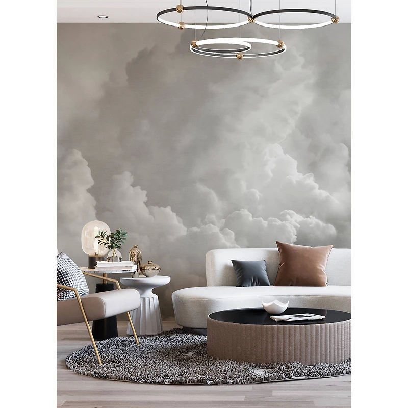 Katie Hunt Dove Gray In the Clouds Wall Mural