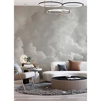 Katie Hunt Dove Gray In the Clouds Wall Mural