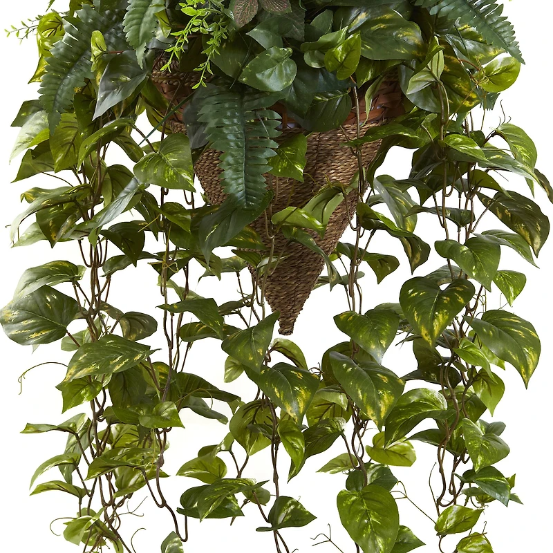 3ft. Mixed Green Vines in Cone Hanging Basket