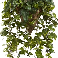 3ft. Mixed Green Vines in Cone Hanging Basket