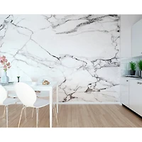 Ohpopsi Marble Wall Mural