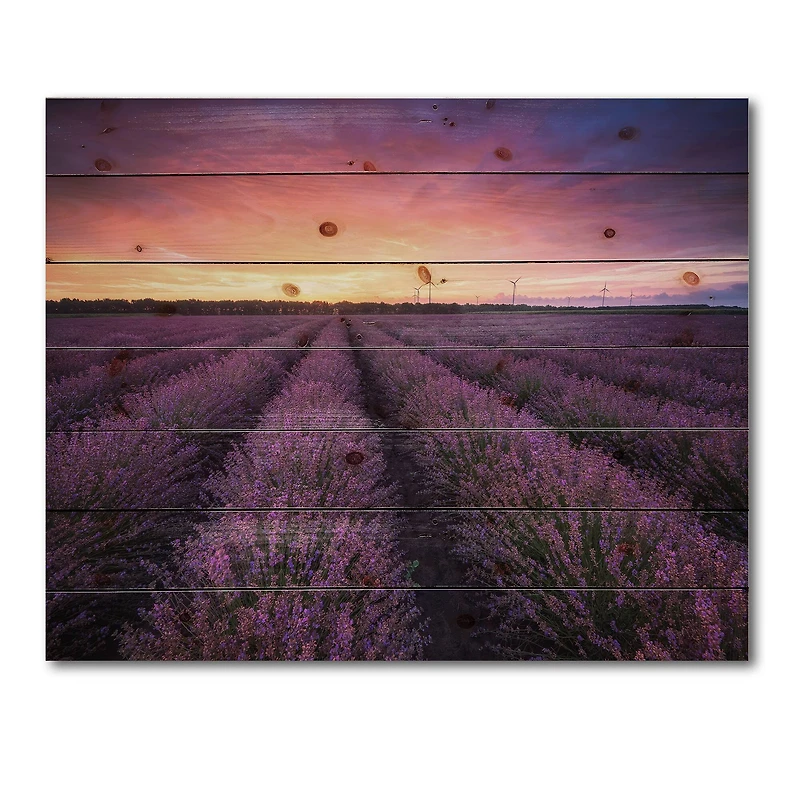 Designart - Sunrise & Dramatic Clouds Over Lavender Field XIII