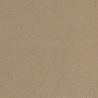 PA Paper™ Accents 12" x 12" Natural 20pt. Chipboard, 25 Sheets