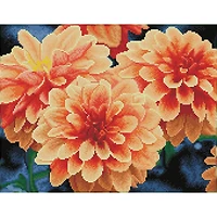 Diamond Dotz® Intermediate Peach Dahlias Pre-Framed Diamond Painting Kit