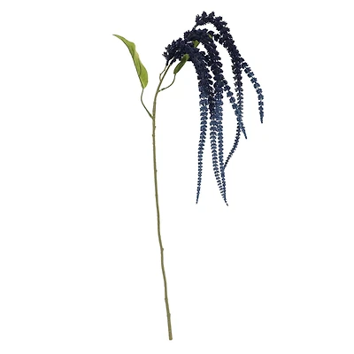 Dark Blue Amaranthus Stem by Ashland®