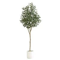 6ft. Artificial Olive Tree with White Decorative Planter