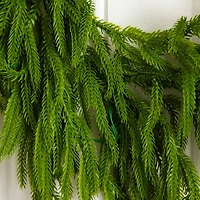 6ft. Pre-Lit Artificial Real Touch Norfolk Island Pine Garland with 35 Warm White LED Lights and Natural Look
