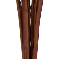 31" White Peony Artificial Flower Stem with Pink Accents, 8ct.