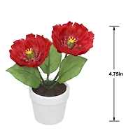 4" Red Poppy Arrangement in White Container by Ashland®