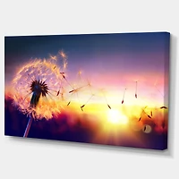 Designart - Dandelion at Sunset Freedom to Wish - Oversized Abstract Canvas Art Print