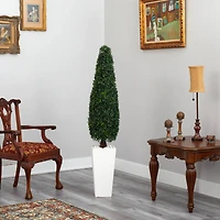 5.25ft. Boxwood Topiary in Tall White Planter