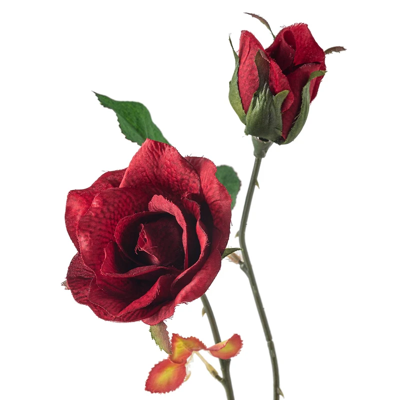 Rose Spray by Ashland