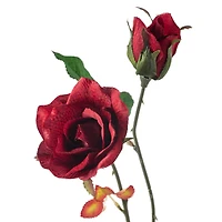 Rose Spray by Ashland