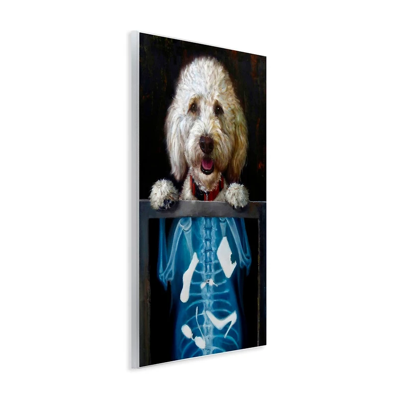 Stupell Industries Funny Dog X-Ray Snacks Wall Plaque Art
