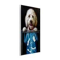 Stupell Industries Funny Dog X-Ray Snacks Wall Plaque Art