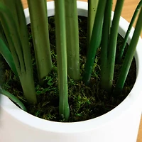 5ft. Sky Bird Tree in White Decorative Planter