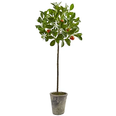 3ft. Potted Orange Tree