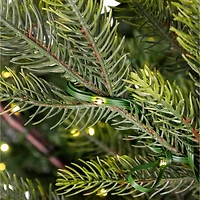 6.5ft. Pre-Lit Real Touch™️ Oregon Noble Fir Artificial Christmas Tree, Warm White LED Lights