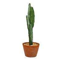 16" Potted Cactus Tabletop Décor by Ashland®