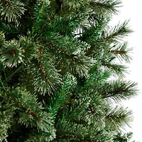 10ft. Pre-Lit Wisconsin Snow Tip Pine Artificial Christmas Tree, Clear LED Lights