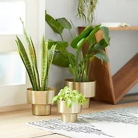 Gold Metal Unique Glam Planter Set