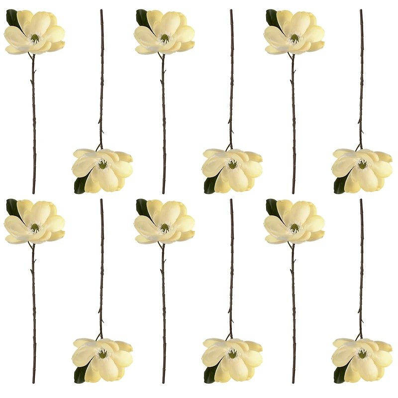 12 Pack: White Magnolia Stem by Ashland®