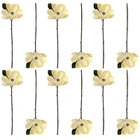 12 Pack: White Magnolia Stem by Ashland®