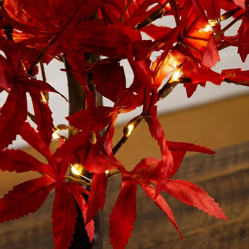 2ft. Pre-Lit Red Autumn Maple Artificial Fall Tree with 50 Warm White LED Lights and Detachable Base