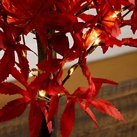 2ft. Pre-Lit Red Autumn Maple Artificial Fall Tree with 50 Warm White LED Lights and Detachable Base