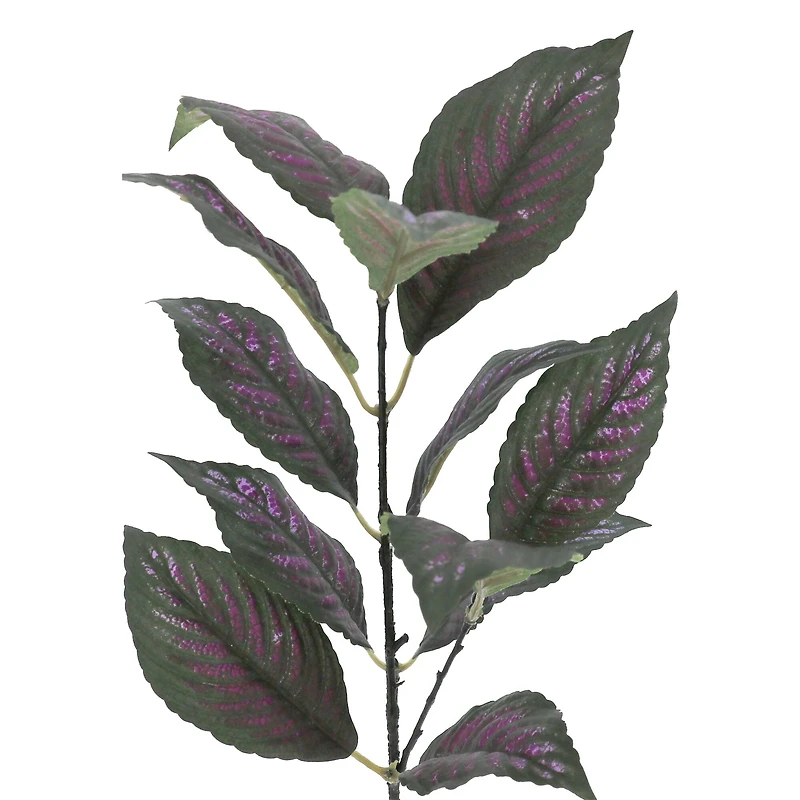 15" Perilepta Dyeriana Leaf Pick by Ashland®