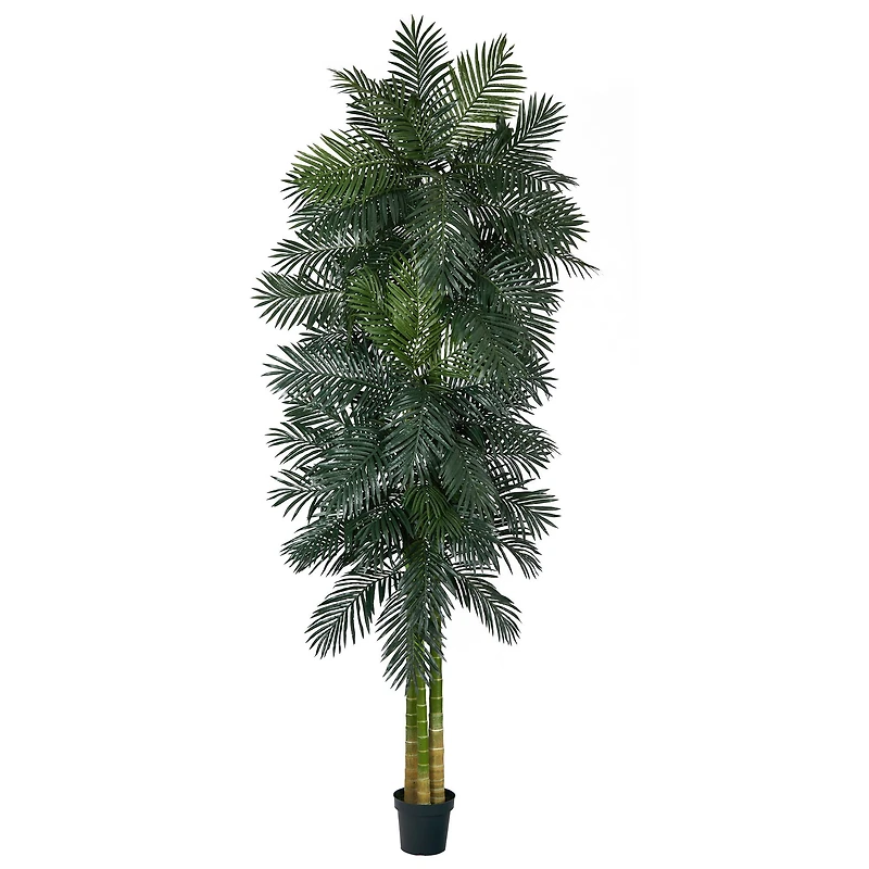 10ft. Potted Triple Stalk Golden Cane Palm Tree