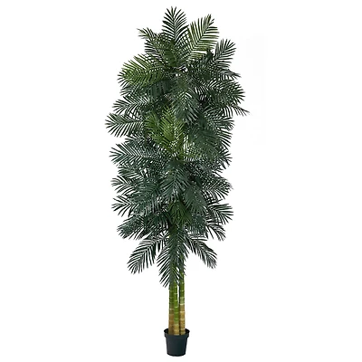 10ft. Potted Triple Stalk Golden Cane Palm Tree