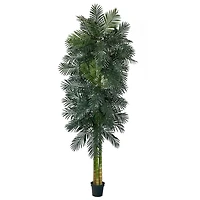 10ft. Potted Triple Stalk Golden Cane Palm Tree