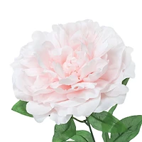 21" Light Pink Peony Bush by Ashland®