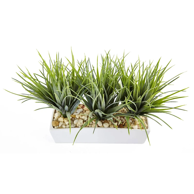 12" Vanilla Grass in White Rectangular Planter