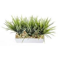 12" Vanilla Grass in White Rectangular Planter