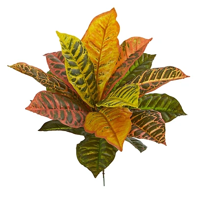 17" Garden Croton Plant, 6ct.