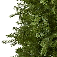 6ft. Pre-Lit Vienna Fir Artificial Christmas Tree, Warm White LED Lights