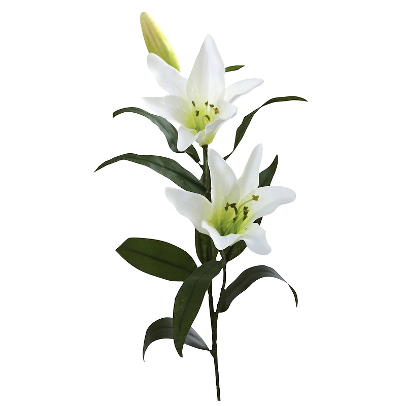 White Lily Stem, 12ct.
