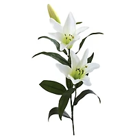 White Lily Stem, 12ct.