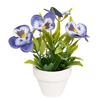 Assorted Micro Premade Flowering Plant, 1pc. by Ashland®