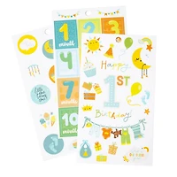 Baby Boy Birthday Sticker Book by Recollections™