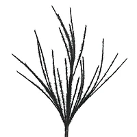 13" Black Twig Pick by Ashland®