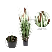 Potted Green Straight Grass & Cattails